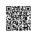 RNCF2512BKE13K3 QRCode