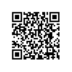 RNCF2512BKE140K QRCode