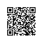 RNCF2512BKE1K33 QRCode