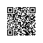 RNCF2512BKE1M24 QRCode