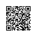 RNCF2512BKE1M43 QRCode