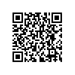 RNCF2512BKE39K2 QRCode