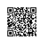 RNCF2512BKE487K QRCode