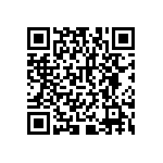 RNCF2512BKT300R QRCode