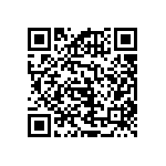 RNCF2512BTC102K QRCode