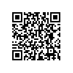 RNCF2512BTC124R QRCode