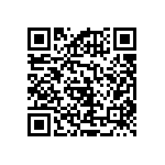 RNCF2512BTC13R7 QRCode