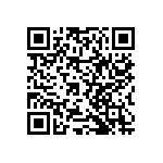 RNCF2512BTC1K02 QRCode