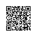 RNCF2512BTC1M91 QRCode