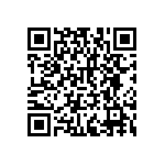 RNCF2512BTC4K02 QRCode