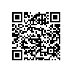 RNCF2512BTE133K QRCode