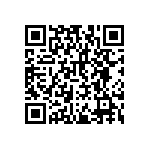 RNCF2512BTE1K13 QRCode