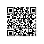 RNCF2512BTE1K62 QRCode