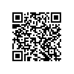 RNCF2512BTE1M91 QRCode