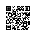 RNCF2512BTE22K0 QRCode