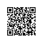 RNCF2512BTE2K61 QRCode