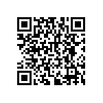 RNCF2512BTE383R QRCode