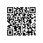 RNCF2512BTE3K30 QRCode