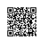 RNCF2512BTE4K02 QRCode