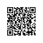 RNCF2512BTE73K2 QRCode