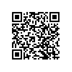 RNCF2512DKE16K2 QRCode