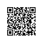 RNCF2512DKE1R91 QRCode