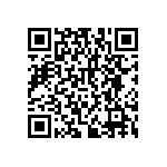 RNCF2512DKE383K QRCode