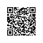 RNCF2512DTC13R3 QRCode