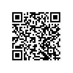 RNCF2512DTC300R QRCode