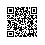 RNCF2512DTC95R3 QRCode
