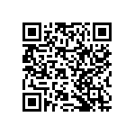 RNCF2512DTE13R3 QRCode