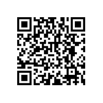 RNCF2512DTE169K QRCode