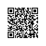 RNCF2512DTE1M43 QRCode
