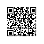 RNCF2512DTE1R13 QRCode