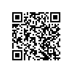 RNCF2512DTE29R4 QRCode