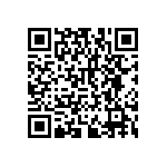 RNCF2512DTE301R QRCode