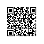 RNCF2512DTE47K5 QRCode