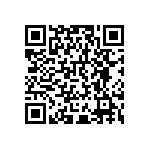 RNCP0402FTD100R QRCode