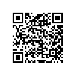 RNCS1206BKE29K8 QRCode