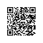 RNCS1206BKE48K1 QRCode