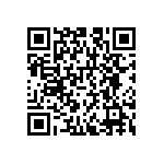 RNCS1206BKE4K99 QRCode