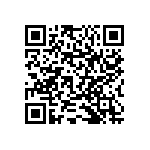 RNCS1206BKE5K30 QRCode