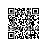 RNCS1206BKE6K12 QRCode