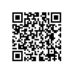 RNCS1206BTC301K QRCode