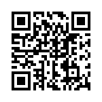 RNG_234 QRCode