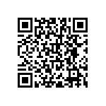 RNR55H1002BSBSL QRCode