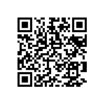 RNR55H1963DPRSL QRCode