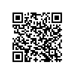 RNR55H2873FPBSL QRCode