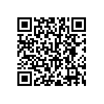 RNR55H3093DSBSL QRCode