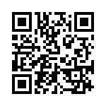 RR11131100-234 QRCode